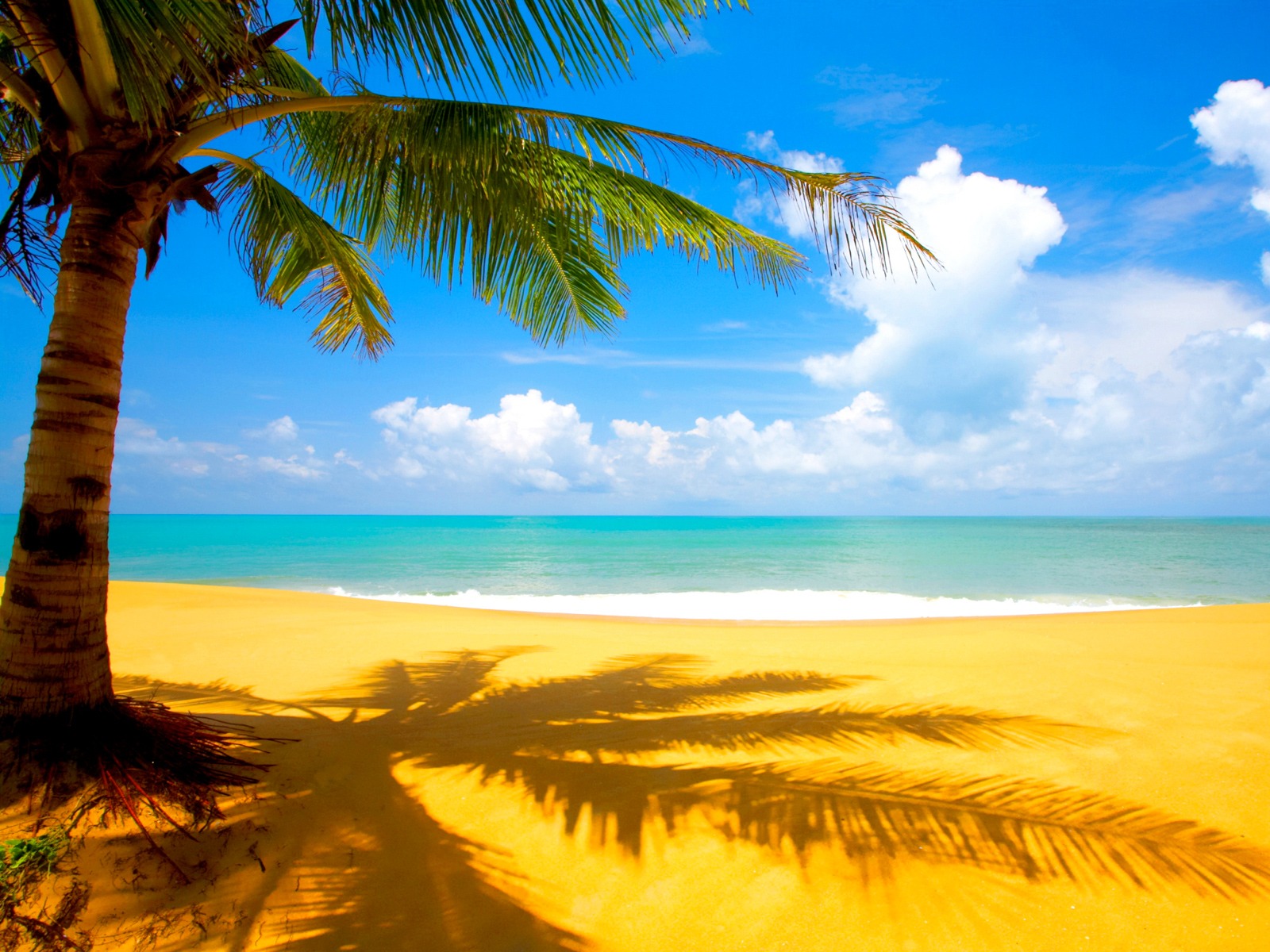 Palm trees and tropical sky